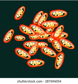Vector isolated chili pepper on green background. Sliced chili. Cooking ingredients  vector elements. Mexican cuisine