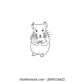 Vector isolated chinchilla standing on its hind legs contour line drawing. Colorless black and white drawn chinchilla svg