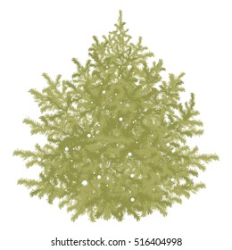 Vector isolated christmas Fir tree on white background