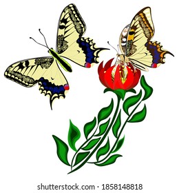 Vector. Isolated clipart. Swallowtail Butterflies with red flower, isolated on white background. 