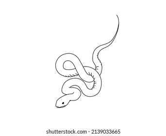 910 Contour Viper Images, Stock Photos & Vectors 