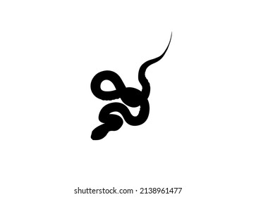 Vector Isolated Coiled Snake Outline Black Colored Silhouette Shadow