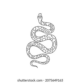 Vector isolated the coiled spotted snake black line contour drawing. Spotted snake, boa, anaconda black and white doodle sketch.