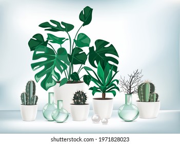 Vector isolated collection with indoor plants.  Collections contains a lot of beautiful plants, cactus, succulents, palms, monstera in different pots with changeable color. Home gardening concept.