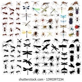 vector, isolated collection, set of insects, with silhouettes