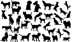 Vector Isolated Collection Of Silhouettes Of Dogs