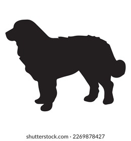 vector isolated collection of silhouettes of dogs