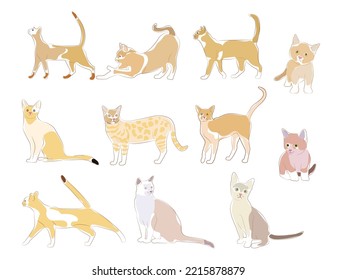 Vector isolated color cat, logo, typography, decorative sticker on white background.