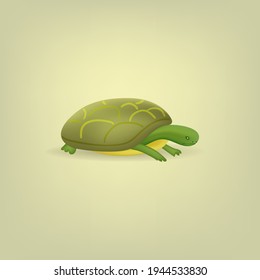 vector isolated color turtle illustration