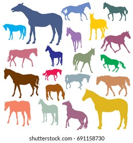 Vector isolated colorful standing, trotting and galloping horses silhouettes on white background