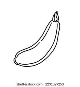 Vector isolated colorless black line squash. Organic vegetable food illustration for healthy nutrition diet