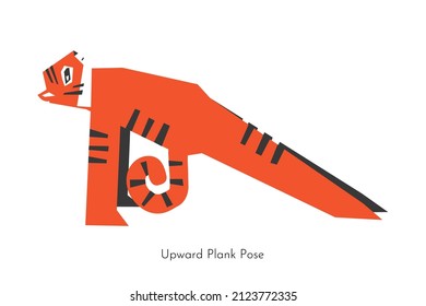 Vector isolated concept with animal cartoon character doing strengthening yoga practice - Purvottanasana. South China tiger learns Upward plank pose. Flat illustration of core sport training