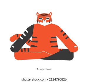 Concepto aislado de vectores con personaje de caricatura animal practicando yoga - Siddhasana . El tigre coreano aprende Adepts Pose. Ilustración plana del ejercicio de aptitud para la meditación en clase de formación
