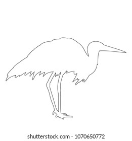 vector, isolated contour bird stork