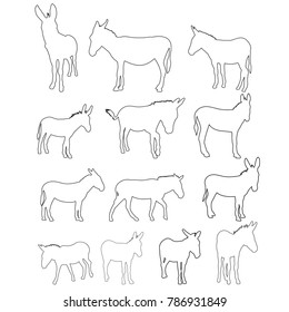 vector, isolated contour of donkeys, sketch, set