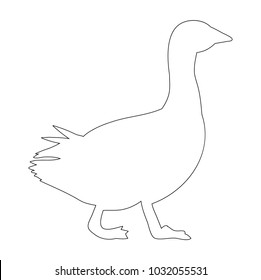vector, isolated contour duck, goose on white background