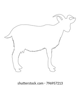 vector, isolated contour is a goat on a white background