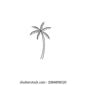 Vector isolated contour line palm tree simple minimal doodle drawing. Colorless black and white tiny palm tree sketch