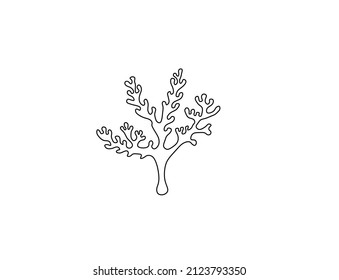 Dibujo de línea de coral aislado por vectores. Dibujo simple de garabato de línea de contorno de coral. 