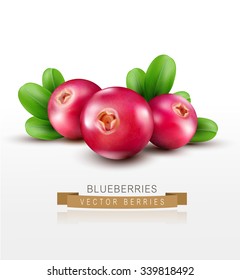 Vector Isolated Cranberries With Green Leaves On A White Background