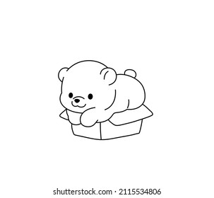 Vector isolated cute cartoon baby bear in cardboard box, bear cub in box colorless black and white contour line drawing