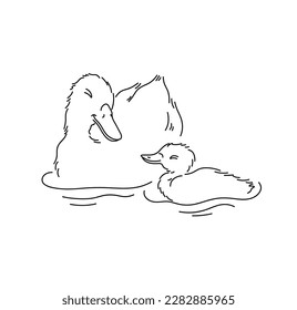 Vector isolated cute cartoon big mother duck and baby duckling swimming colorless black   white contour line easy drawing