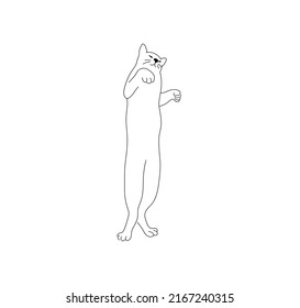 Vector isolated cute cartoon cat sleeping on its back colorless black and white contour line drawing