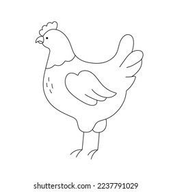 Vector isolated cute cartoon chicken hen side view colorless black and white contour line easy drawing