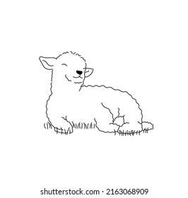 Vector isolated cute cartoon curly baby lamb lying in a grass colorless black and white contour line drawing