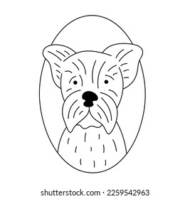 Vector isolated cute cartoon dog portrait in oval frame yorkshire terrier colorless black and white contour line easy drawing