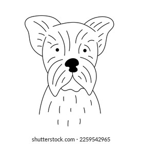 Vector isolated cute cartoon dog portrait in yorkshire terrier colorless black and white contour line easy drawing