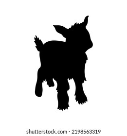 Vector isolated cute cartoon fluffy little baby goat colorless black outline silhouette shadow
