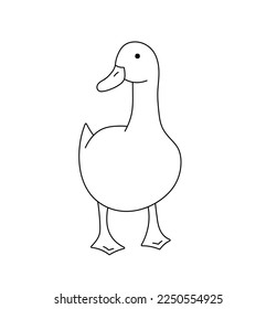 Vector isolated cute cartoon funny standing duck goose bird looking left front view colorless black and white contour line easy drawing