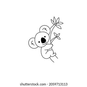 Vector aislado lindo dibujo de caricatura koala. Carolina pintada de blanco y negro sin color sentada en una rama de árbol