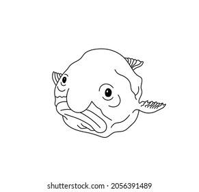 Vector isolated cute cartoon the most ugly fish psychrolutes marcidus drawing. Deep sea fish dropfish, blobfish drawn doodle sketch