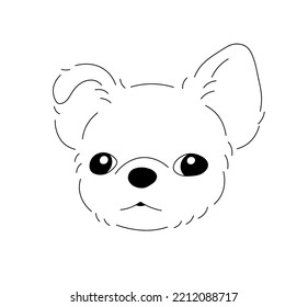 Vector isolated cute cartoon shaggy toy terrier chihuahua lapdog portrait head colorless black and white contour line easy drawing