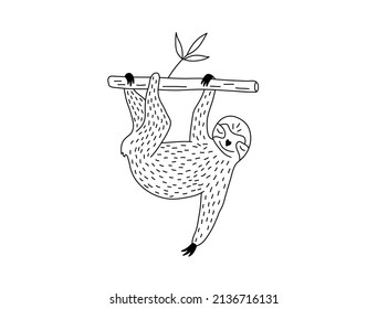 Vector isolated cute cartoon sloth hanging on a tree branch colorless black and white contour line doodle drawing