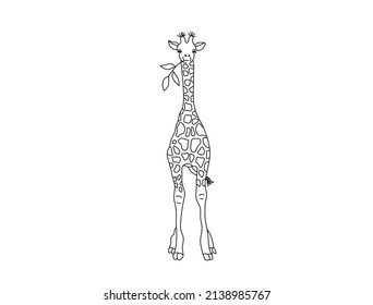 Vector isolated cute cartoon standing giraffe chewing a twig colorless black and white contour line drawing
