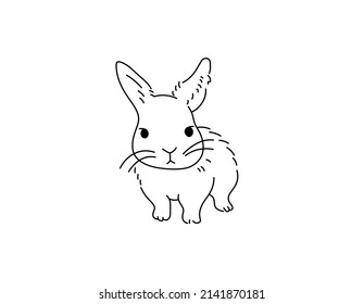 Dibujo de la línea de contorno blanco y negro sin color del pequeño conejo aislado del vector