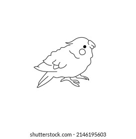 Vector isolated cute cartoon tiny baby parrot colorless black and white contour line drawing