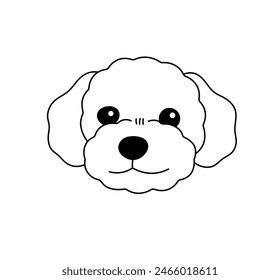 Vector aislado lindo perro rizado malipoo cabeza de caniche bozal incoloro negro y blanco línea de contorno fácil dibujo