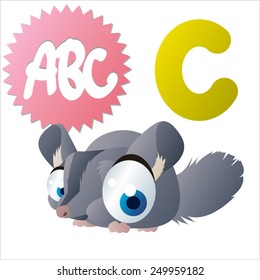 vector isolated cute happy big eyes abc animals: C is for Chinchilla