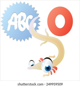vector aislado lindo ojos grandes felices y felices animales abc: O es para Olm
