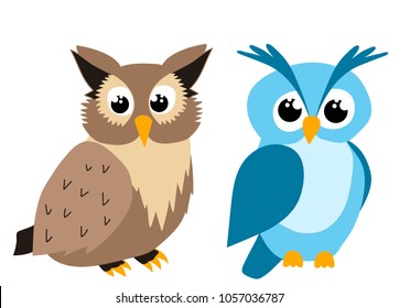 vector, isolated, cute owl character, cartoon