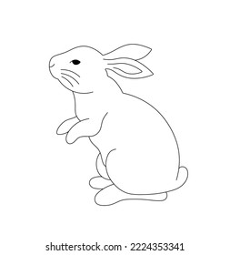 Vector isolated cute rabbit hare bunny standing on hind paws colorless black and white contour line easy drawing