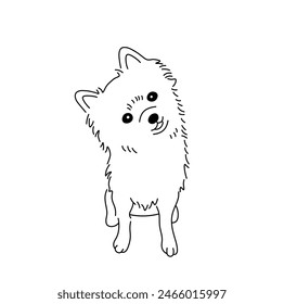 Vector isolated cute spitz dog tattoo colorless black and white contour line easy drawing