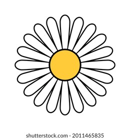 Vector Isolated Daisy Flower Illustration