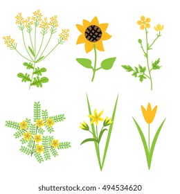 Vector isolated decorative yellow flowers