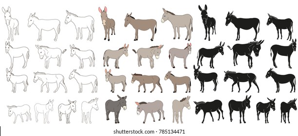 Vector Isolated Donkey, Mule, Outline, Collection Of Silhouettes