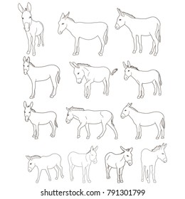 vector, isolated donkey sketch set